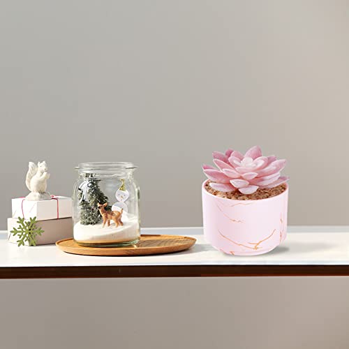 ZENIDA Succulent Artificial Plants,Cute Fake Succulents in 1 Pink Ceramic Pots,Small Fake Plants for Office,Table,Desk,Bathroom, Bedroom,Aesthetic Room Shelves Decor,Desk Decorations for Women Office - Image 2