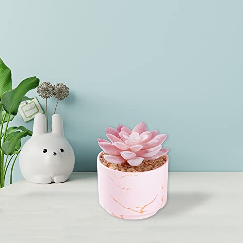 ZENIDA Succulent Artificial Plants,Cute Fake Succulents in 1 Pink Ceramic Pots,Small Fake Plants for Office,Table,Desk,Bathroom, Bedroom,Aesthetic Room Shelves Decor,Desk Decorations for Women Office - Image 4
