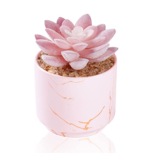 ZENIDA Succulent Artificial Plants,Cute Fake Succulents in 1 Pink Ceramic Pots,Small Fake Plants for Office,Table,Desk,Bathroom, Bedroom,Aesthetic Room Shelves Decor,Desk Decorations for Women Office - Image 1
