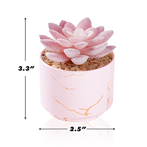 ZENIDA Succulent Artificial Plants,Cute Fake Succulents in 1 Pink Ceramic Pots,Small Fake Plants for Office,Table,Desk,Bathroom, Bedroom,Aesthetic Room Shelves Decor,Desk Decorations for Women Office - Image 5