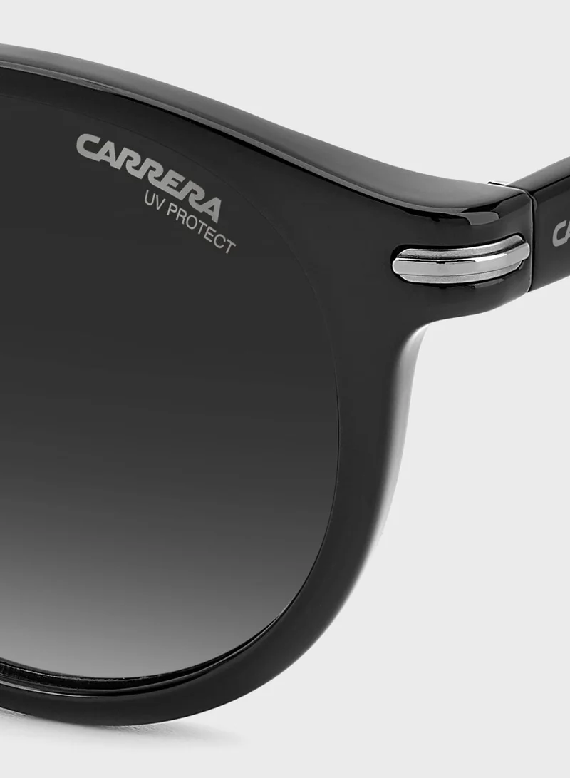 Carrera  Wayfarers Sunglasses  | Best Price UAE