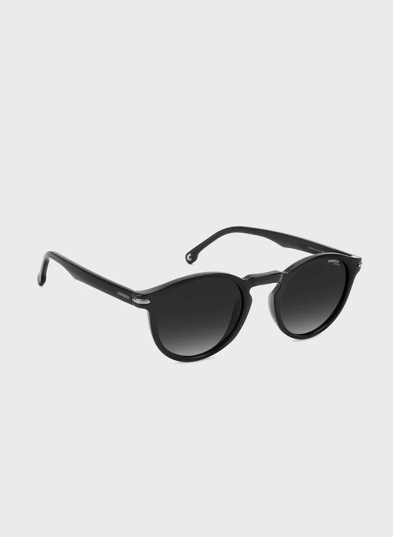 Carrera  Wayfarers Sunglasses  | Best Price UAE
