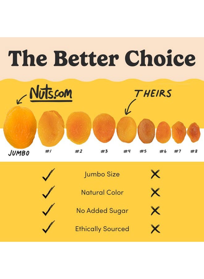 Nuts.com – Dried Apricots – No Sugar Added, Healthy Fruit Snack for Adults & Kids – Naturally Plump & Juicy, Good Source of Potassium & Fiber – Vegan, Gluten-Free & Kosher Pareve – 2 Pound Bag - Image 3