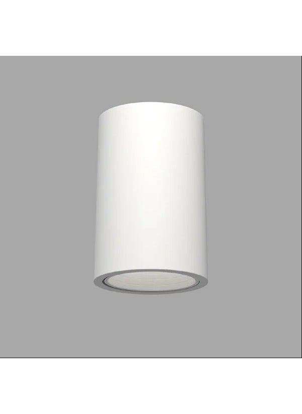 YCL - Surface Mounted Decorative Luminaire YC-8110B - Image 1