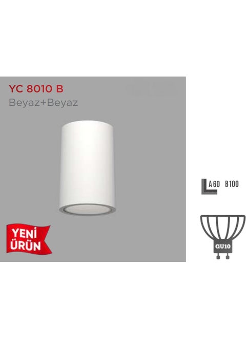 Surface Mounted Decorative Luminaire YC-8110B