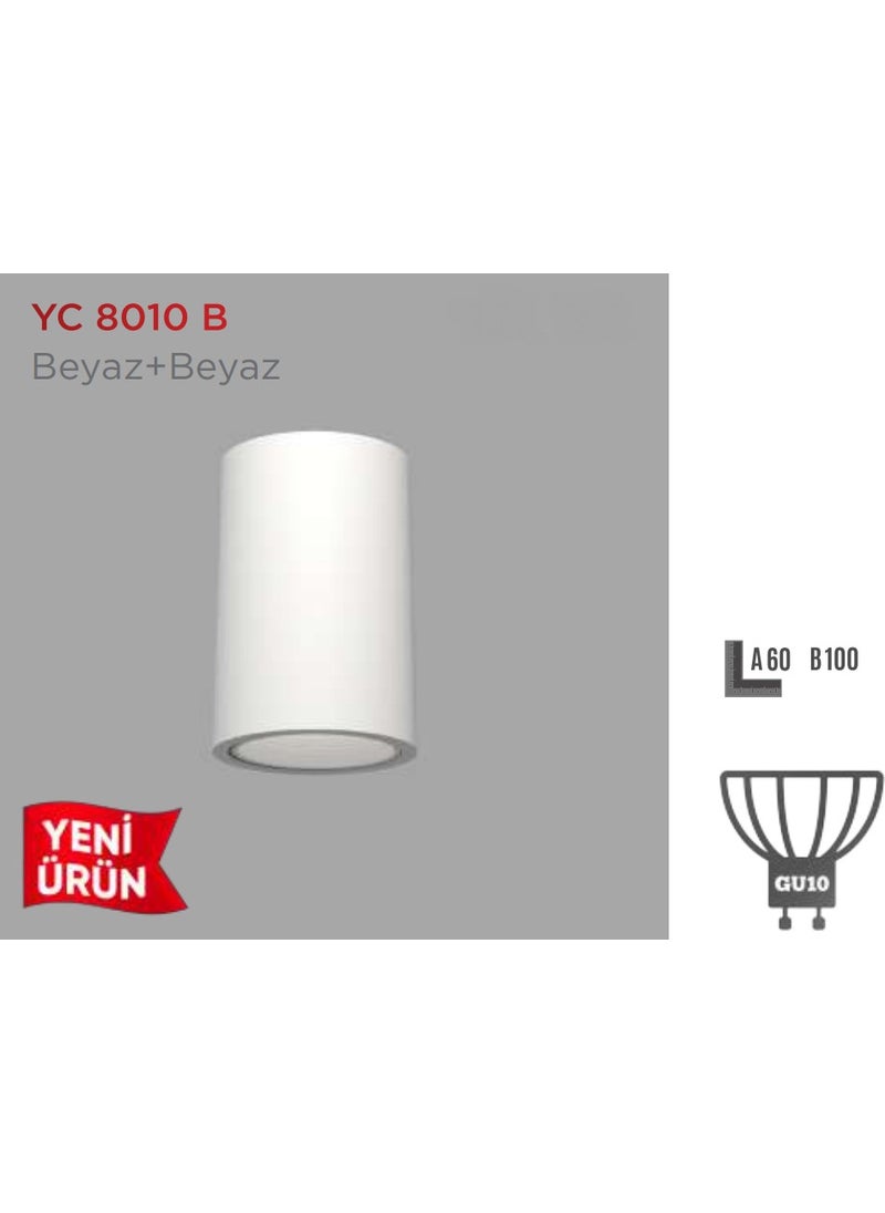 YCL - Surface Mounted Decorative Luminaire YC-8110B - Image 1