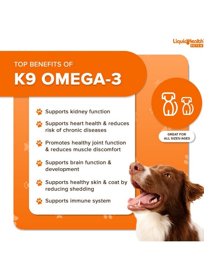 ليكويد هيلث زيت السمك أوميغا 3 السائل من شركة Liquid Health Pets K9 للكلاب - أوميغا 3 السائل للكلاب مع حمض إيكوسابنتينويك + حمض دوكوساهيكسانويك + حمض الدوكوساهيكسانويك، مكمل غذائي لتساقط شعر الكلاب قد يقلل من الحكة ويدعم صحة المفاصل والمناعة والدماغ والقلب (16 أونصة)  - Image 3