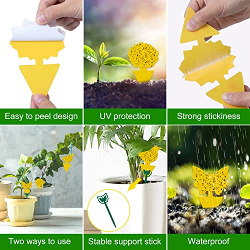 Stingmon 54 Pack Fruit Fly Trap for Indoor, Gnat Traps for House Indoor, Fungus Gnat Killer Sticky Traps for Plants, Mosquitoes, Flying Insects - Image 4