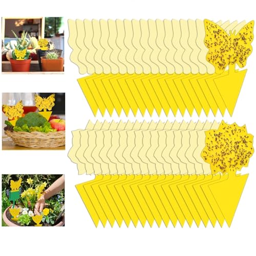 Stingmon 54 Pack Fruit Fly Trap for Indoor, Gnat Traps for House Indoor, Fungus Gnat Killer Sticky Traps for Plants, Mosquitoes, Flying Insects - Image 1