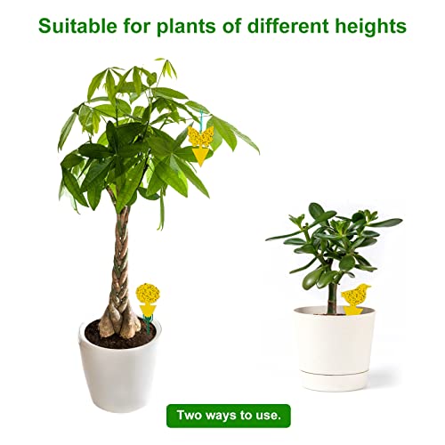 Stingmon 54 Pack Fruit Fly Trap for Indoor, Gnat Traps for House Indoor, Fungus Gnat Killer Sticky Traps for Plants, Mosquitoes, Flying Insects - Image 5