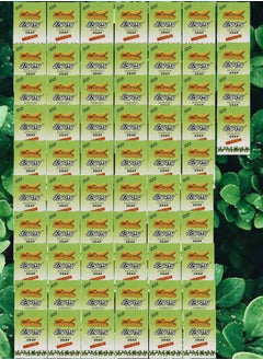 Pyary 64 Pieces Turmeric Soap All Natural Hand Crafted Vegan Ayurvedic 
