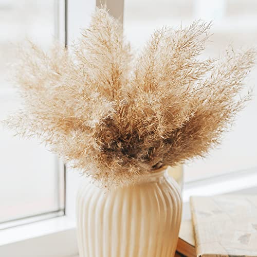 Kocat Pampas Grass Decor, Natural Dry Pampas Grass Small, Short Pampass Bulk for Farmhouse, Wall, Kitchen, Bedroom Decor, Office Decor (17 inch ) - Image 5