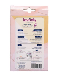 Hollinz Disposable Panties Xlarge - 5 Pc  - Image 2