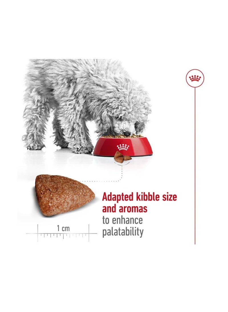 رويال كانين ميني إندور أدلت 1.5 كجم - Image 2