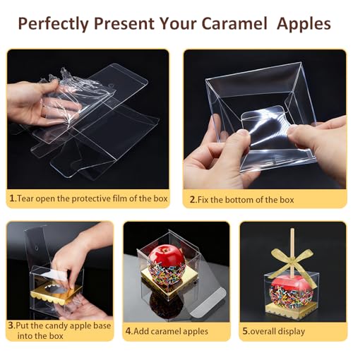 MGWOTH Candy Apple Boxes and Sticks Kit, Include 28pcs Caramel Apple Bamboo Skewers, 25pcs Clear Apple Containers with Hole, 25pcs Apple Bases, 1 pcs Gold Glitter Ribbon, Set for Chocolate Treat Party - Image 4