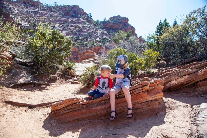 CamelBak Big Bite Replacement Hydration Pack Valve, Blue, One - Image 2