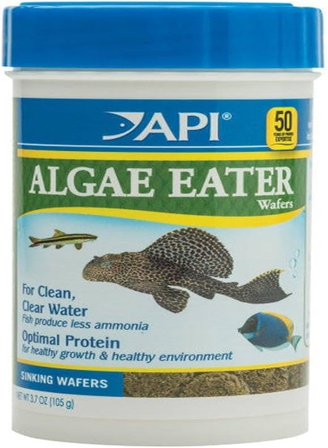 ايه بي آي رقائق API Algae Eater الممتازة الغاطسة للأسماك التي تتغذى على الطحالب، 3.7 أونصة - عبوة من قطعتين