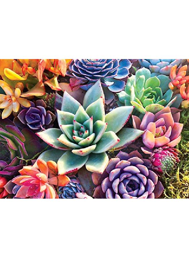 Buffalo Games Simple Succulent 1000 Piece Jigsaw Puzzle - Image 2