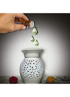 Devinez Orange Aroma Oil for Diffuser;Ultrasonic Aroma Diffuser;Tealight Diffuser;Reed Diffuser 500ml  - Image 5