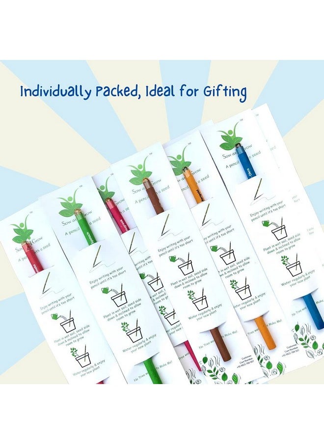 Sow and Grow Sow and Grow Plantable Pencils (Pack Of 25 Single Pencils) Made With 100% Recycled Paper|Eco Friendly|Return Gift|Corporate Gifting|Green  - Image 3