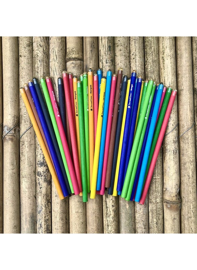 Sow and Grow Sow and Grow Plantable Pencils (Pack Of 25 Single Pencils) Made With 100% Recycled Paper|Eco Friendly|Return Gift|Corporate Gifting|Green  - Image 4