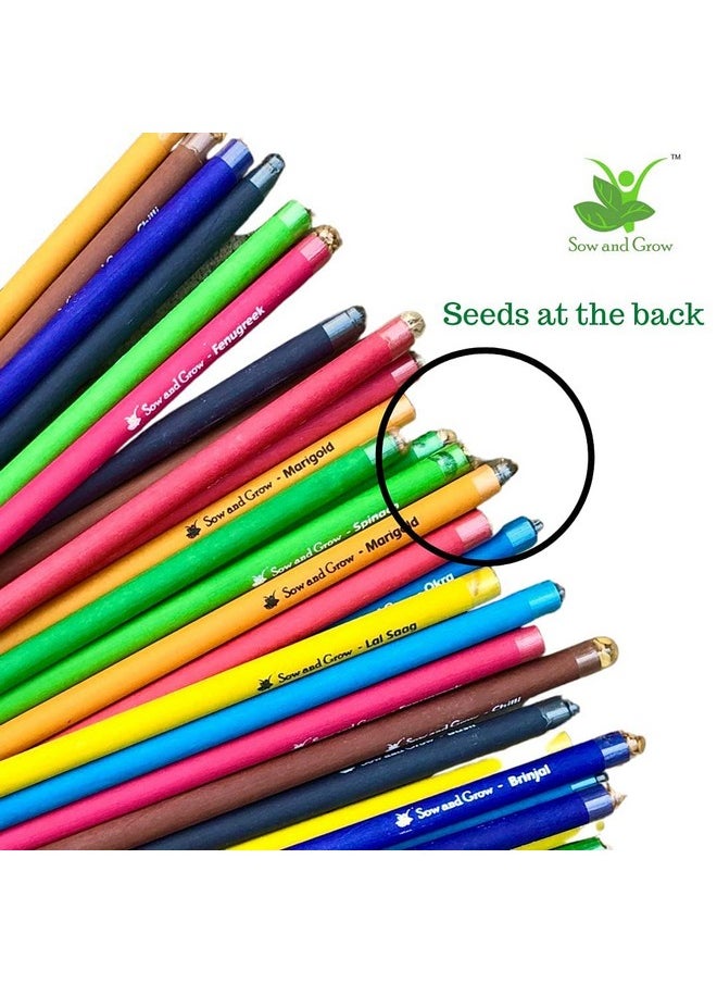 Sow and Grow Sow and Grow Plantable Pencils (Pack Of 25 Single Pencils) Made With 100% Recycled Paper|Eco Friendly|Return Gift|Corporate Gifting|Green  - Image 5