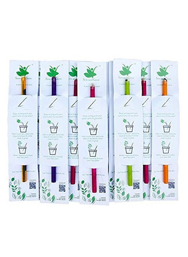 Sow and Grow Sow and Grow Plantable Pencils (Pack Of 25 Single Pencils) Made With 100% Recycled Paper|Eco Friendly|Return Gift|Corporate Gifting|Green  - Image 1