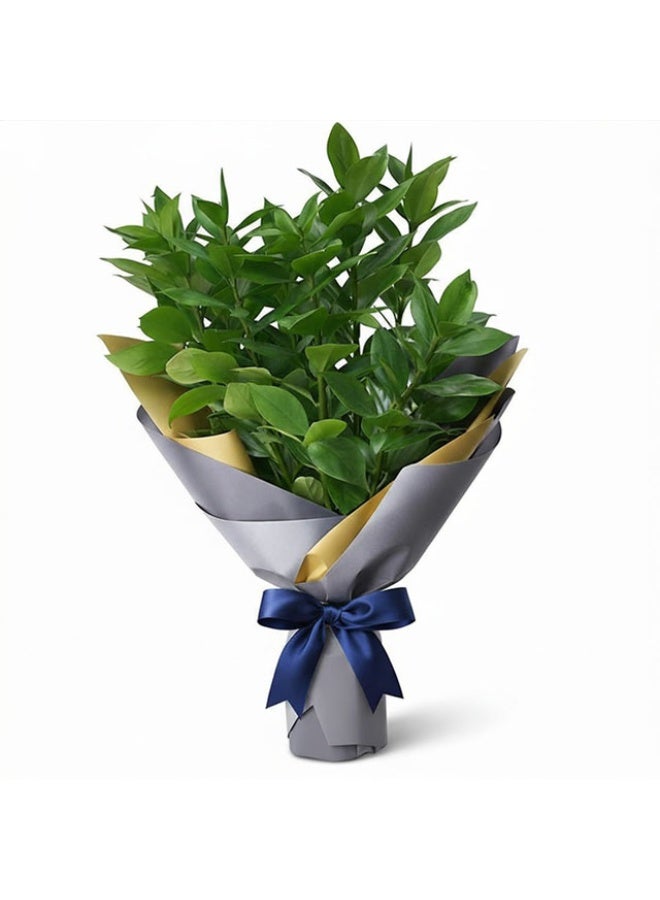 Ruscus, 50cm - 12 Stems, Kenya