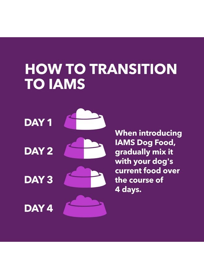 IAMS Advanced Health Mobility Support Chicken and Whole Grain Recipe Adult Dry Dog Food, 6 lb. Bag - Image 5