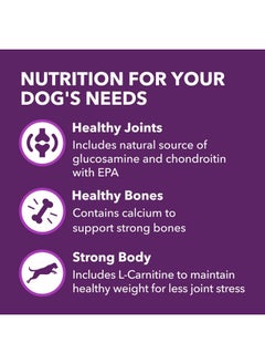 Iams IAMS Advanced Health Mobility Support Chicken and Whole Grain Recipe Adult Dry Dog Food, 6 lb. Bag  - Image 4