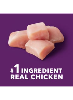 Iams IAMS Advanced Health Mobility Support Chicken and Whole Grain Recipe Adult Dry Dog Food, 6 lb. Bag  - Image 2