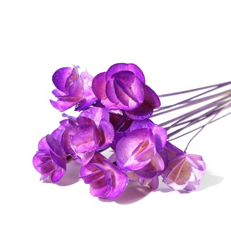 Bluejw Dried Carnation Flower Bouquet for Home Decoration & Wedding – Natural Dried Plants, Long-Lasting Preserved Floral Arrangement - Image 4