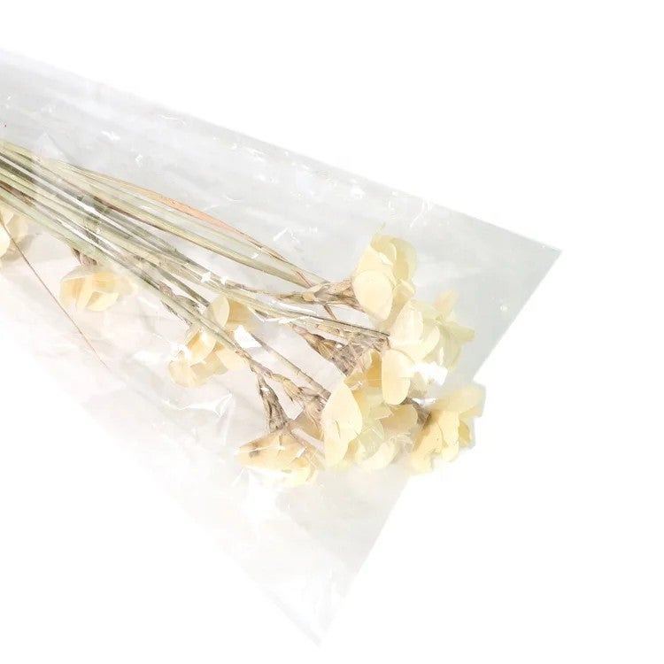 Bluejw Dried Carnation Flower Bouquet for Home Decoration & Wedding – Natural Dried Plants, Long-Lasting Preserved Floral Arrangement - Image 5