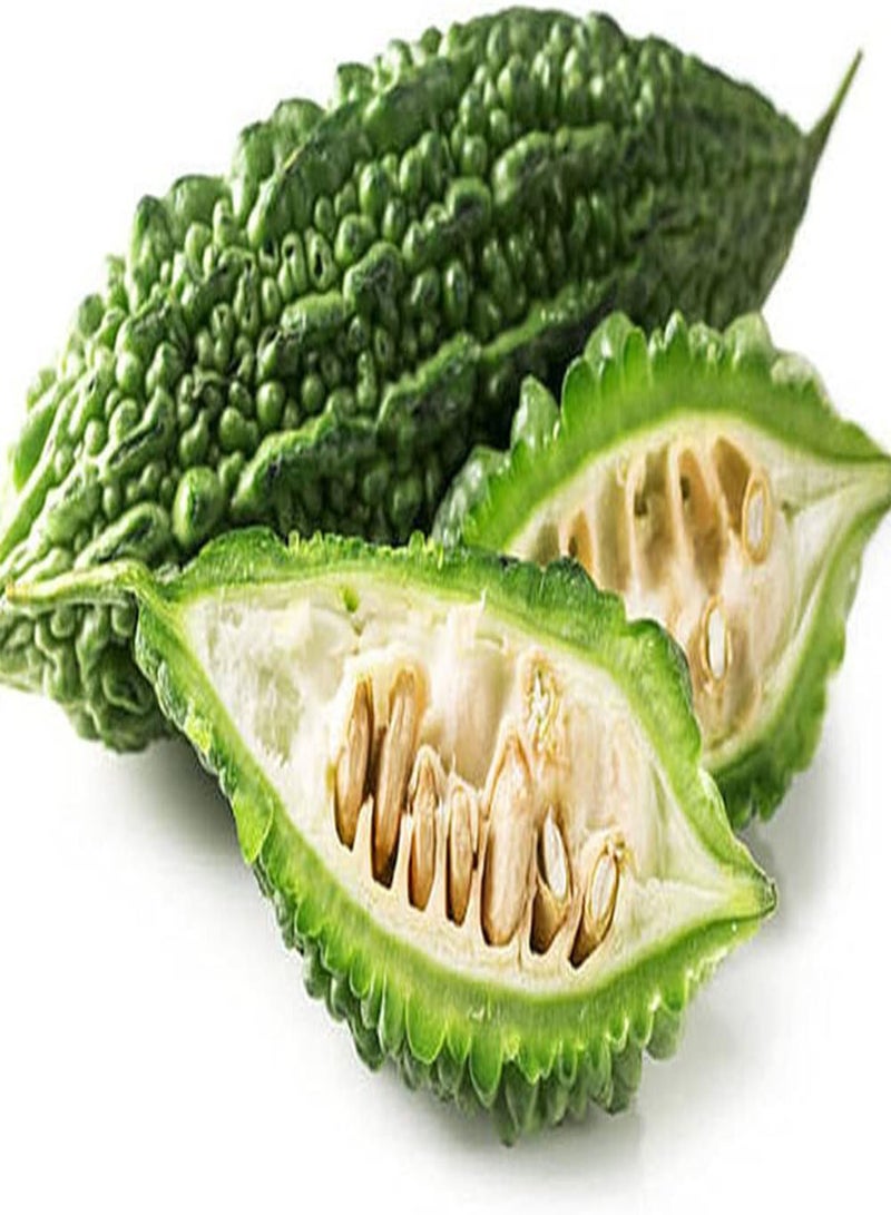 50Pcs Bitter Gourd Seeds Natural Green Fresh Vegetables Unique Appearance Make People Shine Easy Cultivate Enjoy The Harvest Pleasure