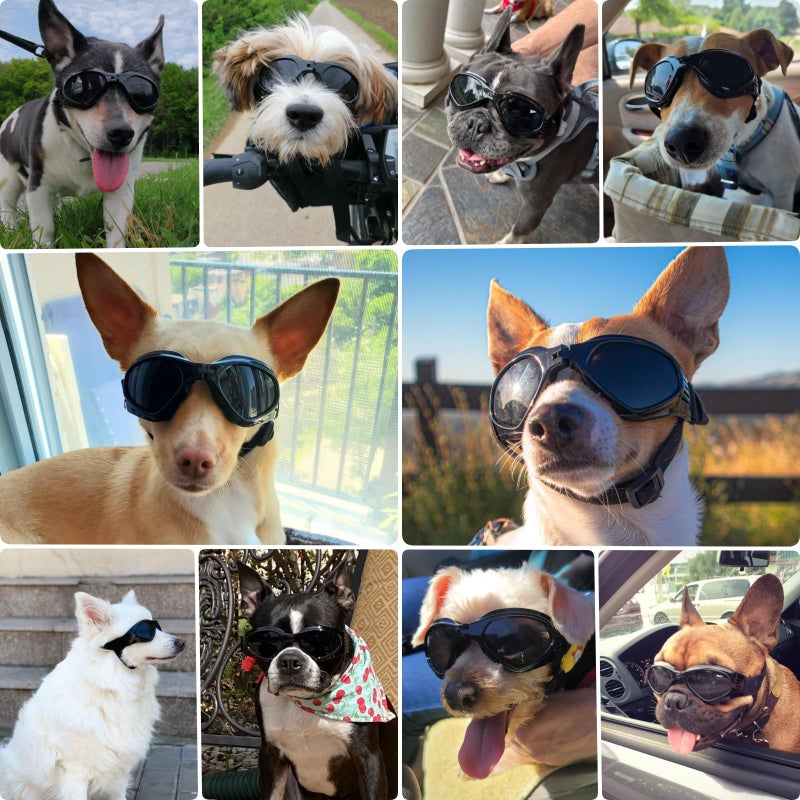 Petleso Dog Goggles Medium Breed, Dog Sunglasses for Medium Dogs Eye Protection Windproof, Black - Image 2