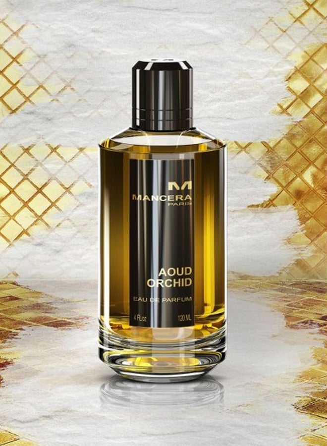 مانسيرا ماء عطر عود أوركيد 120ملليلتر - Image 5
