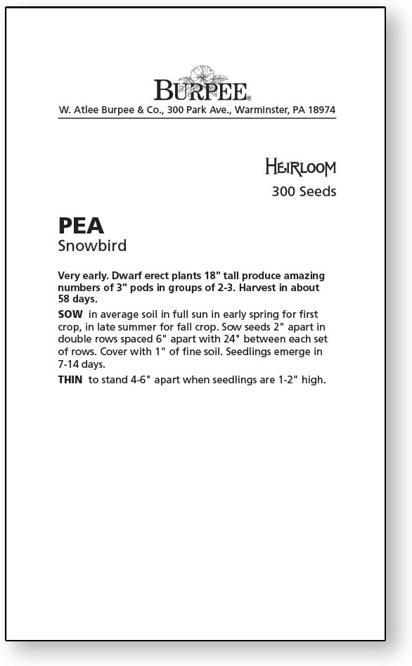 Burpee Snowbird Pea Seeds 300 seeds - Image 3