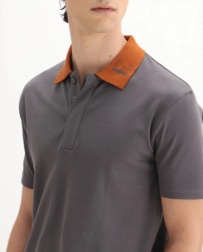 Rare Rabbit Men's Contrasting Embroidered Collar Solid Polo