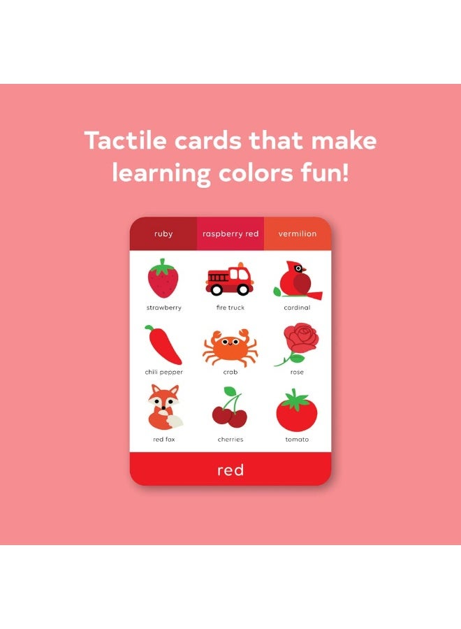 Touchwords: Color Cards: Touch and Feel - Image 2