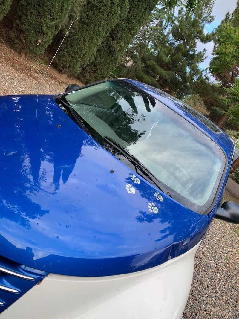 LZLRUN 3D Chrome Dog Paw Footprint Sticker Decal Auto Car Emblem Decal Decoration (Silver) - Image 5