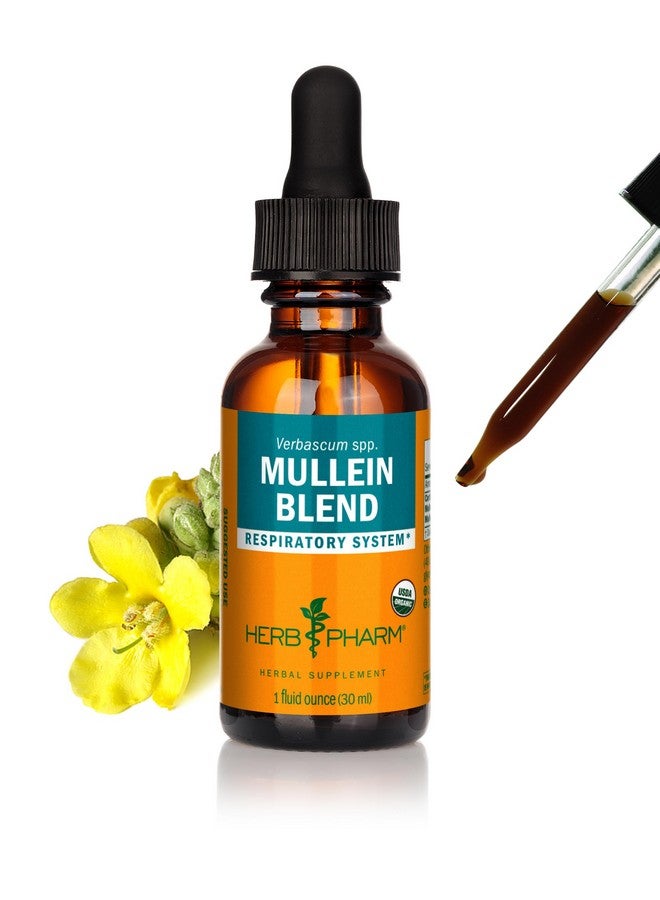 Herb Pharm Certified Organic Mullein Blend Liquid Extract for Respiratory System Support - 1 Ounce - Image 1