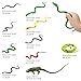 Pinowu 14pcs Realistic Rubber Forest Snake Animals 1 Lizard 4 Frog Toys 9 Fake Snakes 4 to 35 Assorted Colorful Animal Toys for Boy Girl Garden Prank Prop Scare Birds Halloween Party Favors - Image 2