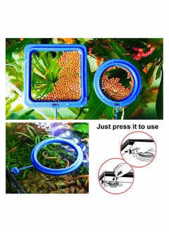 Excefore حلقة تغذية الأسماك 2 قطعة طعام آمن للاسماك طافٍ دائري أزرق، مع كوب شفط سهل التركيب لحوض السمك، ملحقات خزان الأسماك والسلحفاة (مربع + دائرة)  - Image 4
