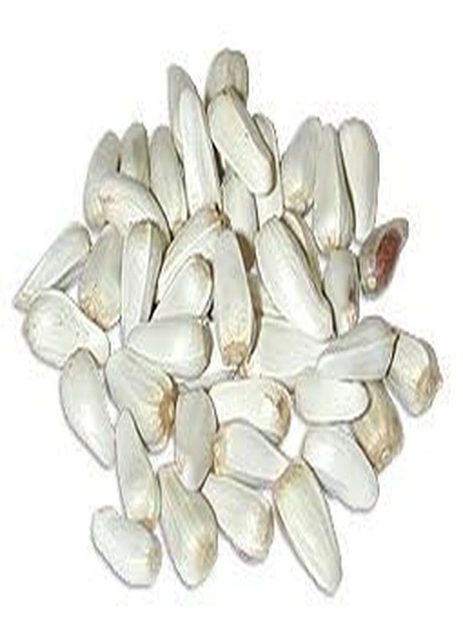 بذور القرطم الممتازة من أريا / بذور كوسوم / بذور كاردي للطيور الغريبة (2500 غرام) - Image 5