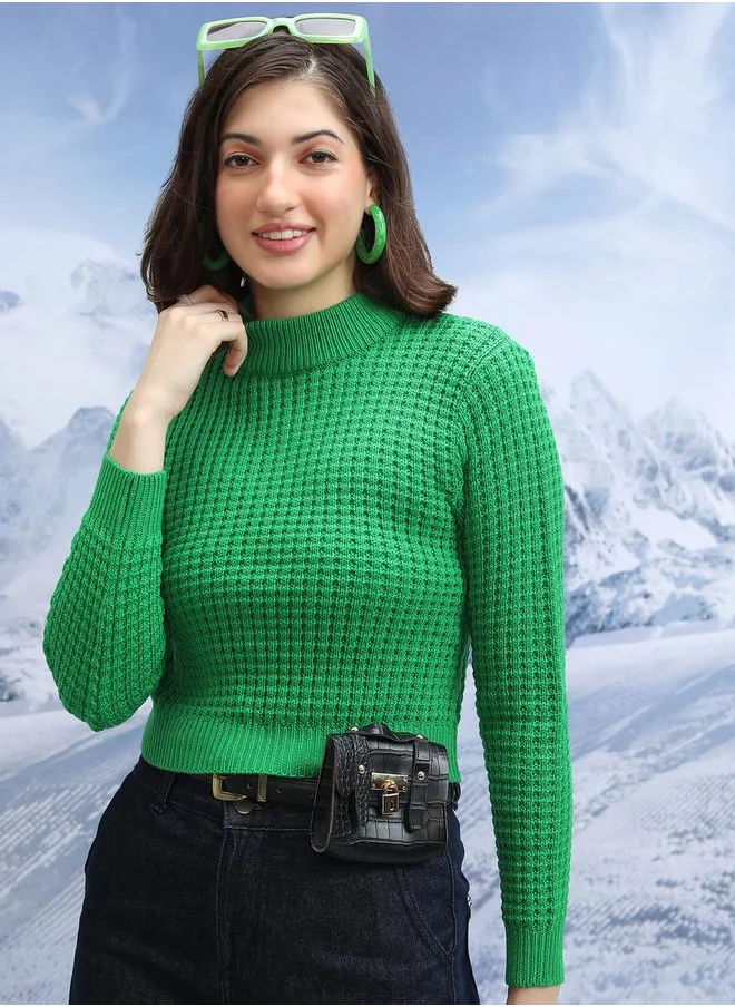 Tokyo Talkies Textured Turtle Neck Cropped Sweater by Styli