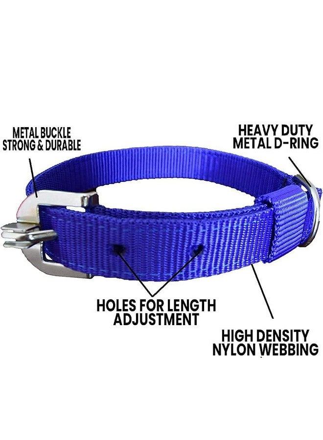 طوق نايلون للكلاب بقياس 1 بوصة مع سلسلة بطول 63 بوصة | حزام متين وسلسلة ثقيلة للكلاب والحيوانات الأليفة (أزرق) - Image 3