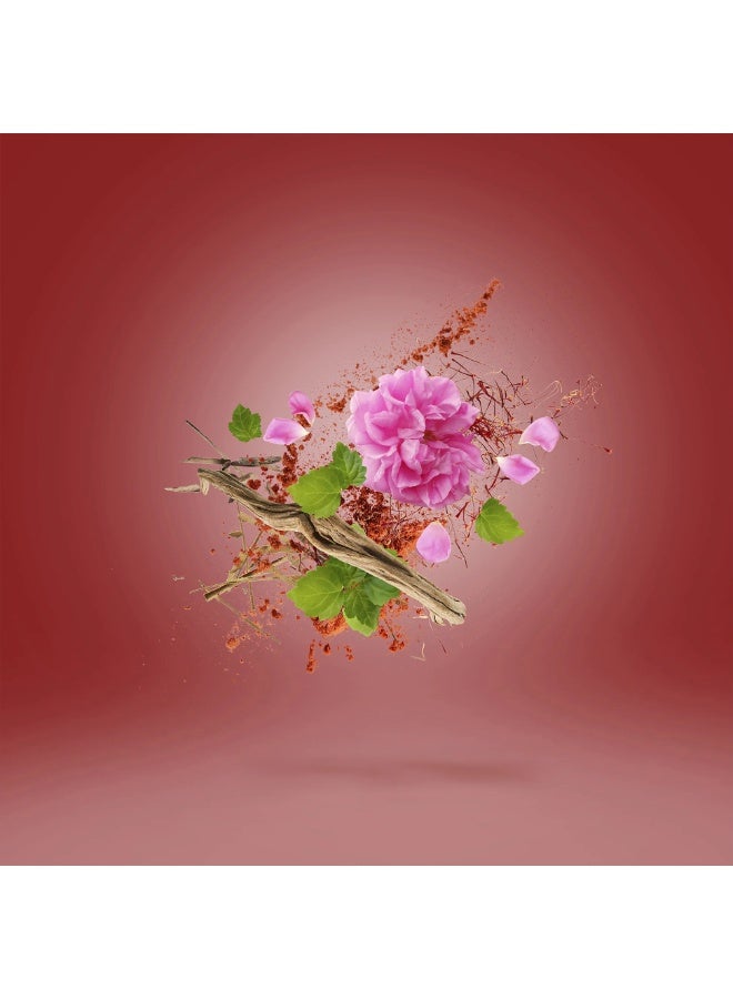 Xerjoff Wardasina Parfuma 100ml - Image 5