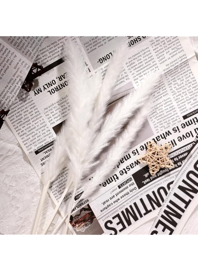 erorex 90Pcs Dried Pampas Grass Baby Pampas Grass Reed Grass Reed Grass Reed Grass Rabbit Tails Eucalyptus Home Decor Bouquet Dried Flowers For Wedding Decor - Image 5