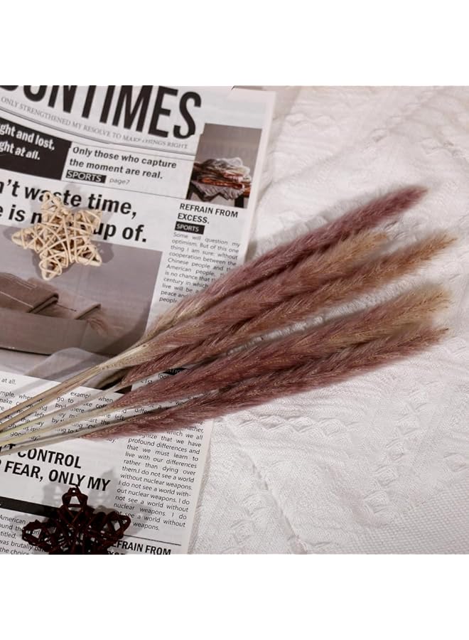 erorex 90Pcs Dried Pampas Grass Baby Pampas Grass Reed Grass Reed Grass Reed Grass Rabbit Tails Eucalyptus Home Decor Bouquet Dried Flowers For Wedding Decor - Image 4