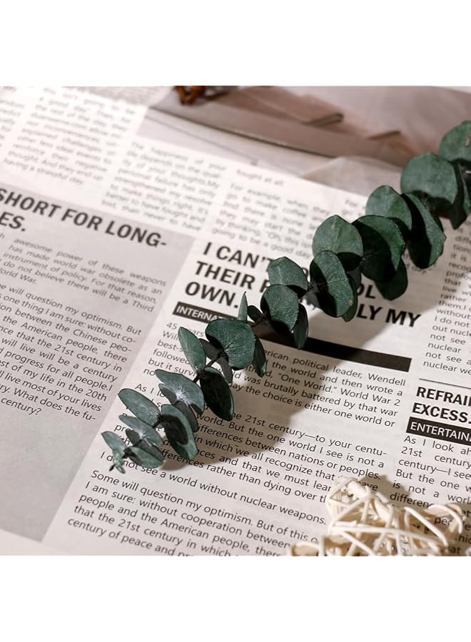 erorex 90Pcs Dried Pampas Grass Baby Pampas Grass Reed Grass Reed Grass Reed Grass Rabbit Tails Eucalyptus Home Decor Bouquet Dried Flowers For Wedding Decor - Image 3